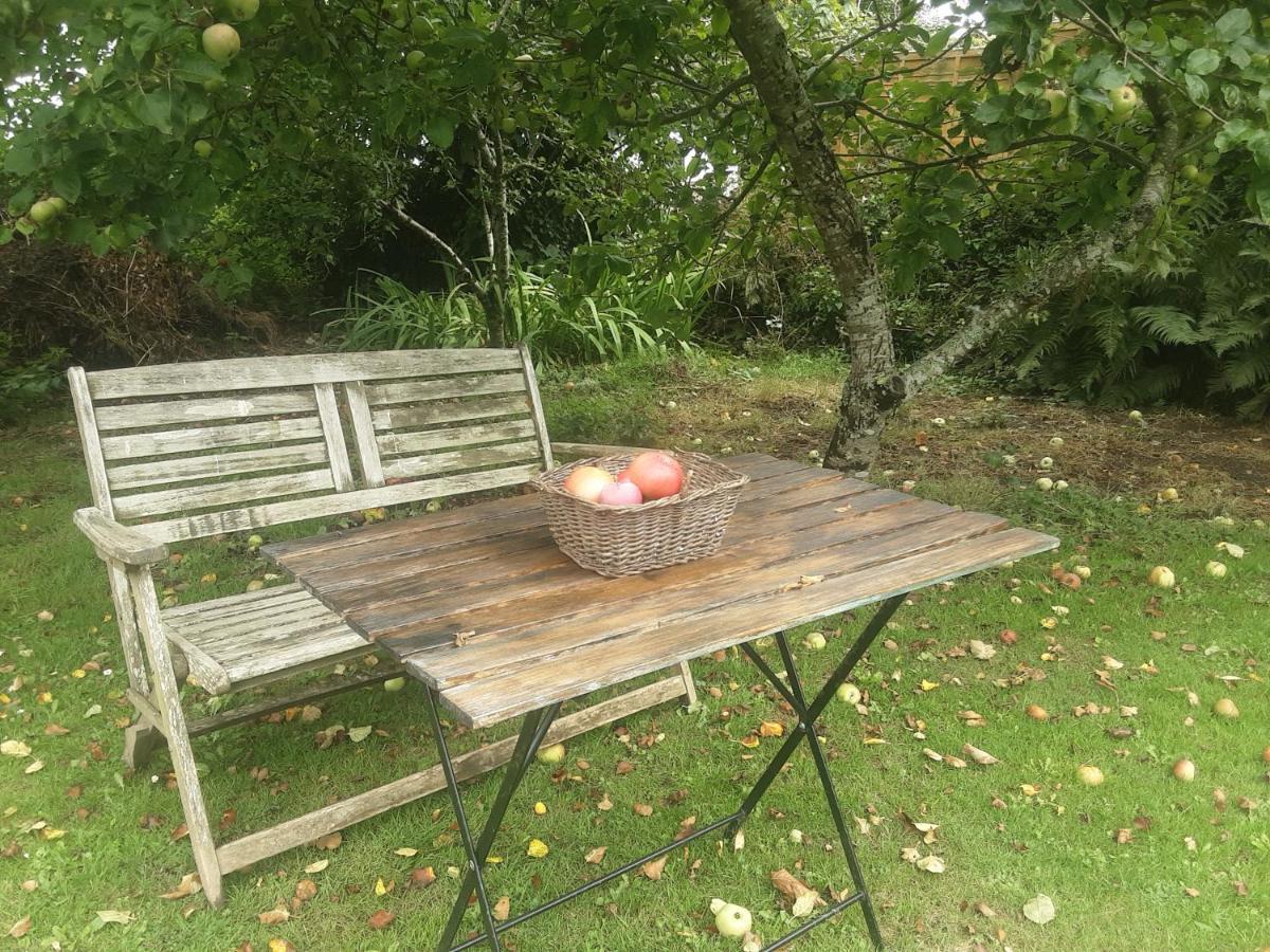 Villa Tranquil Wood Cabin Set In A Beautiful Orchard à Penzance Extérieur photo