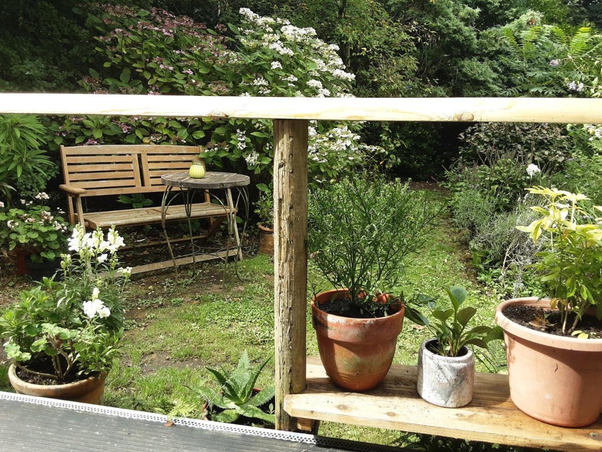 Villa Tranquil Wood Cabin Set In A Beautiful Orchard à Penzance Extérieur photo